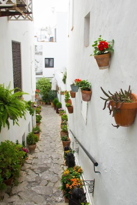 Casa Anicca Διαμέρισμα Vejer de la Frontera Εξωτερικό φωτογραφία